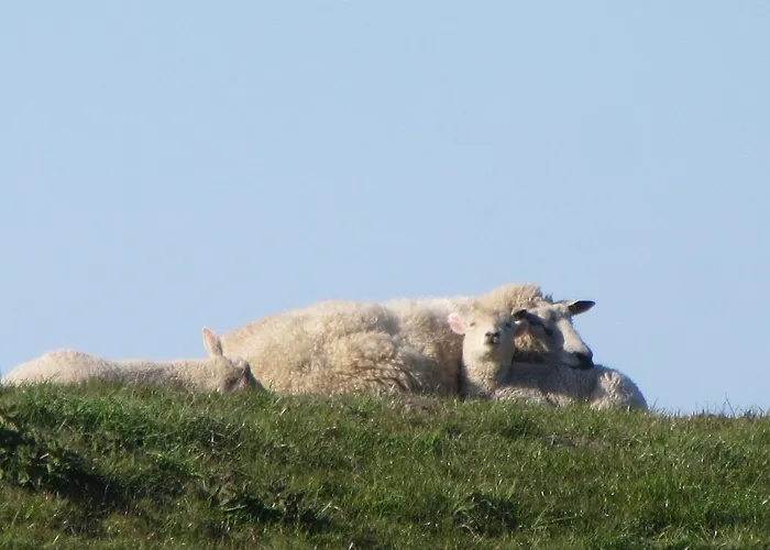 شقة Nowara Krummhörn